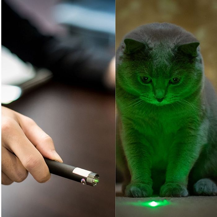 Laser Pointer for Cats