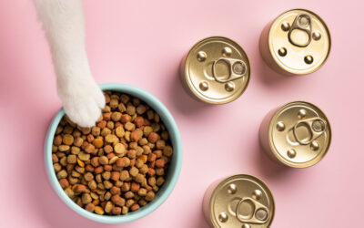 How to Choose the Best Cat Food: Nutrition, Ingredients, and Labels