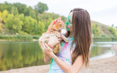 4 Tips to Ensure Cat Safety While Celebrating Holi Festival